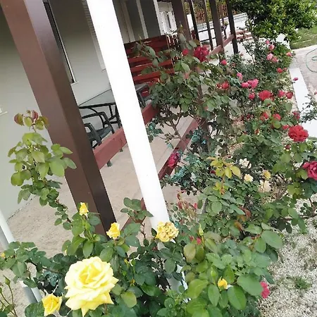 With Private Pool For Rent In Tzanata Kefalonia Holiday home *